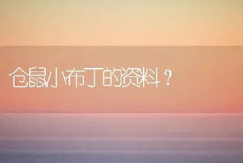 仓鼠小布丁的资料？