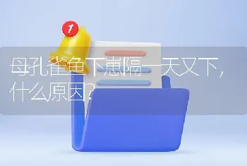 母孔雀鱼下崽隔一天又下，什么原因？