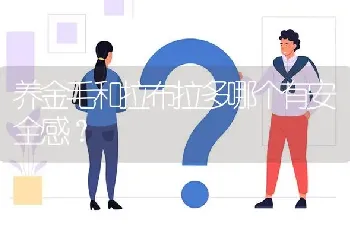 杜高犬十个不养的理由？