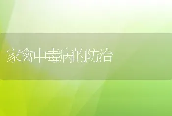 家禽中毒病的防治