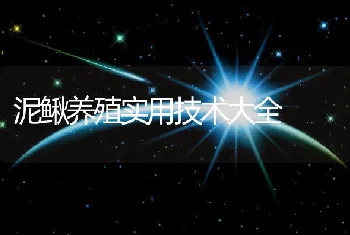 泥鳅人工繁殖、人工养殖新技术