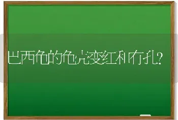 巴西龟的龟壳变红和有孔？