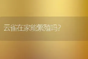 云雀在家能繁殖吗？