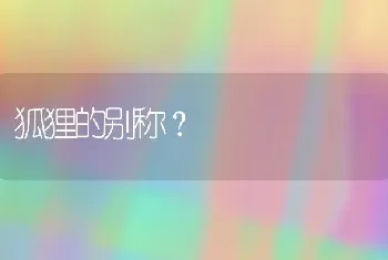 灰白文鸟能繁殖么？