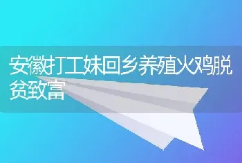 安徽打工妹回乡养殖火鸡脱贫致富