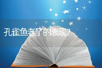 孔雀鱼老了的表现？