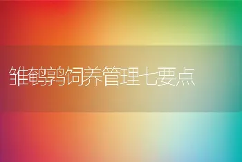 雏鹌鹑饲养管理七要点