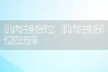 肌肉注射部位，肌肉注射部位应选择