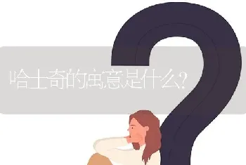 哈士奇的寓意是什么？