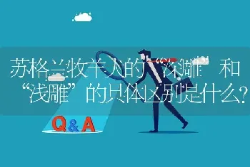 苏格兰牧羊犬的“深雕”和“浅雕”的具体区别是什么？