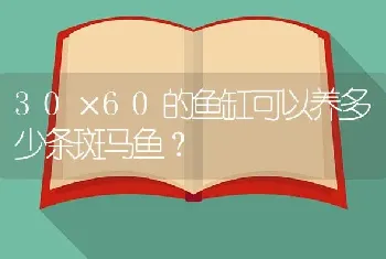 30×60的鱼缸可以养多少条斑马鱼？