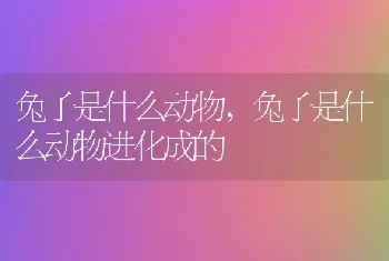 兔子是什么动物，兔子是什么动物进化成的