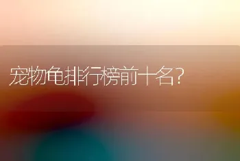 宠物龟排行榜前十名？