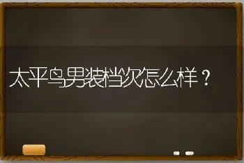 太平鸟男装档次怎么样？