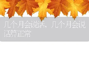 几个月会说话，几个月会说话算正常