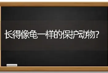 长得像龟一样的保护动物？