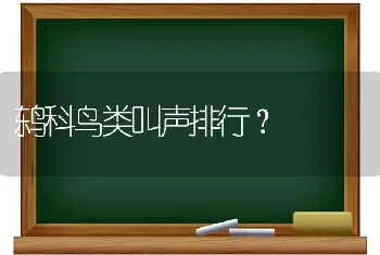 鸫科鸟类叫声排行？