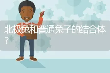 北极兔和普通兔子的结合体？