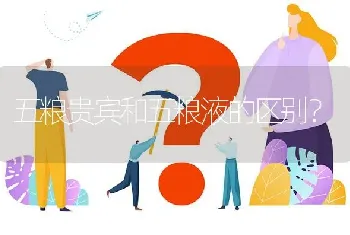 五粮贵宾和五粮液的区别？