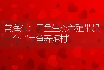 常海东：甲鱼生态养殖带起一个“甲鱼养殖村”