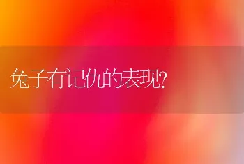 兔子有记仇的表现？