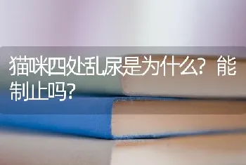 猫咪四处乱尿是为什么?能制止吗？