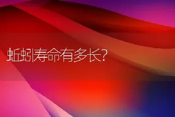 蚯蚓寿命有多长？