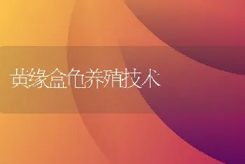 黄缘盒龟养殖技术