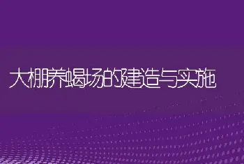 大棚养蝎场的建造与实施