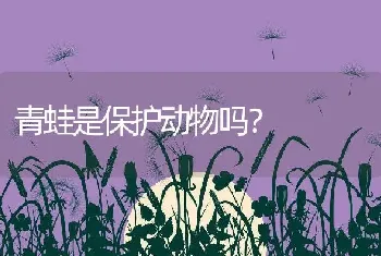 青蛙是保护动物吗？