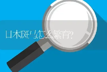 日本斑马怎么繁育？