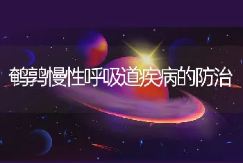 鹌鹑慢性呼吸道疾病的防治