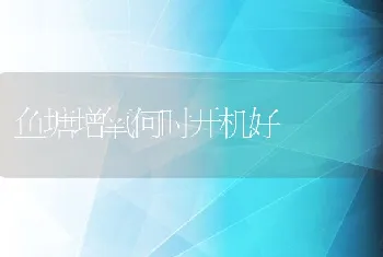 蛋鸡植物饲料的配制及应用