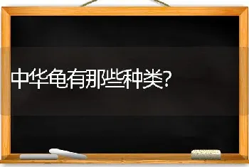 中华龟有那些种类？