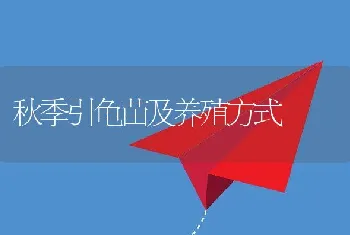 秋季引龟苗及养殖方式