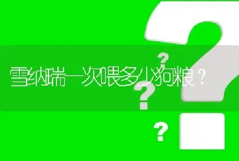 雪纳瑞一次喂多少狗粮？