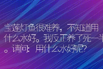 宝莲灯鱼很难养，不知道用什么水好。我反正养了死一半。请问:用什么水好呢？