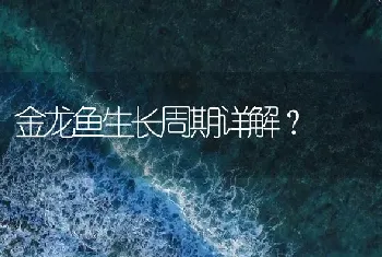 金龙鱼生长周期详解？