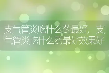 支气管炎吃什么药最好，支气管炎吃什么药最好效果好