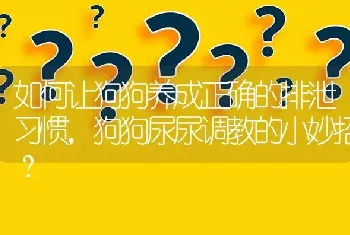 如何让狗狗养成正确的排泄习惯，狗狗尿尿调教的小妙招？