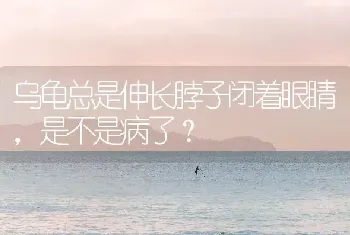 乌龟总是伸长脖子闭着眼睛，是不是病了？