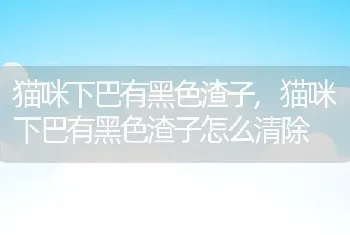 猫咪下巴有黑色渣子，猫咪下巴有黑色渣子怎么清除