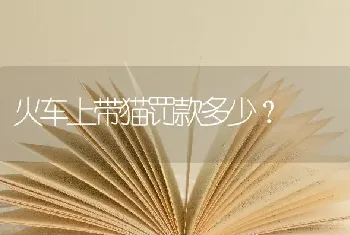 狼狗。德牧，黑贝的区别是什么？