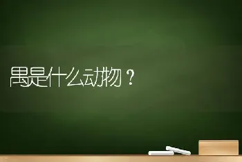 禺是什么动物？