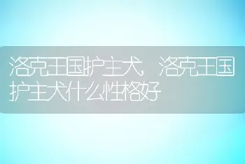 洛克王国护主犬，洛克王国护主犬什么性格好