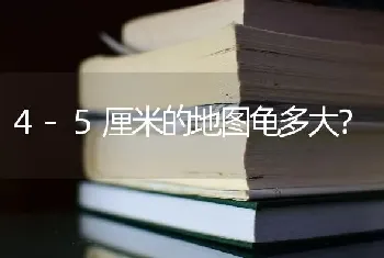 4-5厘米的地图龟多大？