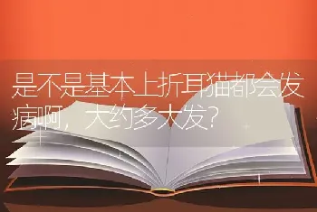 是不是基本上折耳猫都会发病啊，大约多大发？