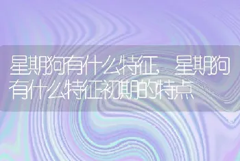 星期狗有什么特征，星期狗有什么特征初期的特点