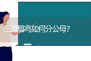 为什么猫咪一下子就，信任自己了？