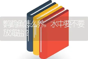 鹦鹉鱼怎么养。水中要不要放海盐？